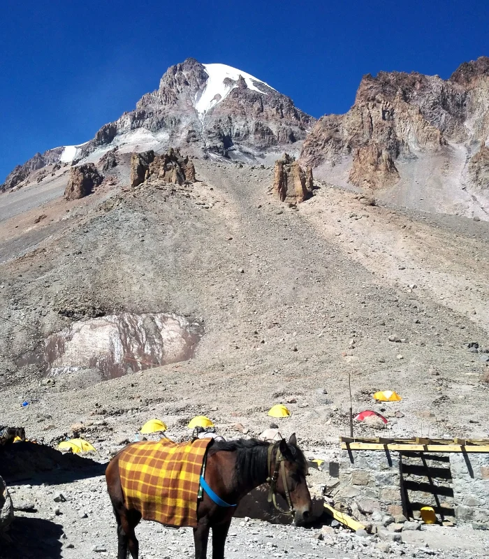 Untitled (700 x 800 px) (24) Leh–Ladakh Solo Escape – 5N/6D - Image 1