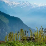 Tawang Adventure Escape – 7N/8D