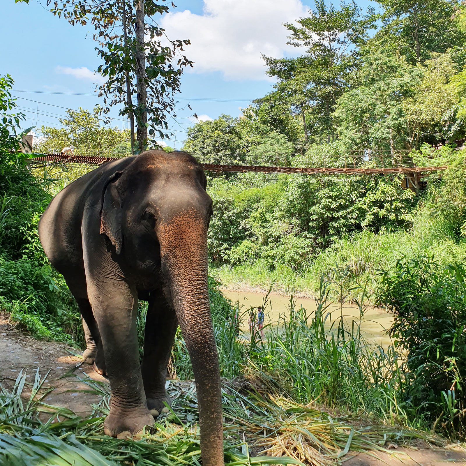 Durga-Puja-Kolkata-21-scaled-1.png Sri Lanka Adventure Escape – 5N/6D - Image 1