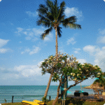 Goa Beach Escape for Couples – 3N/4D